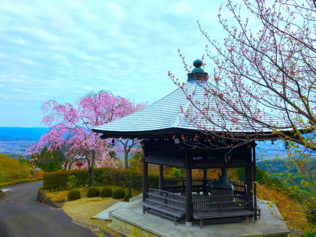 【京都駅発 桜の名所バスツアー】城南宮＋光明寺＋善峯寺＋白子竹の子の昼食