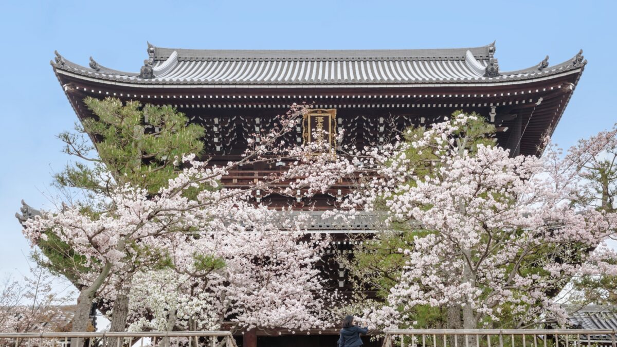 【京都駅発 桜の名所バスツアー】城南宮＋光明寺＋善峯寺＋白子竹の子の昼食