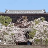 【京都駅発 桜の名所バスツアー】城南宮＋光明寺＋善峯寺＋白子竹の子の昼食