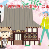 京都でお遍路さんができるって本当ですか！3時間で巡る四国八十八ヶ所霊場を巡礼