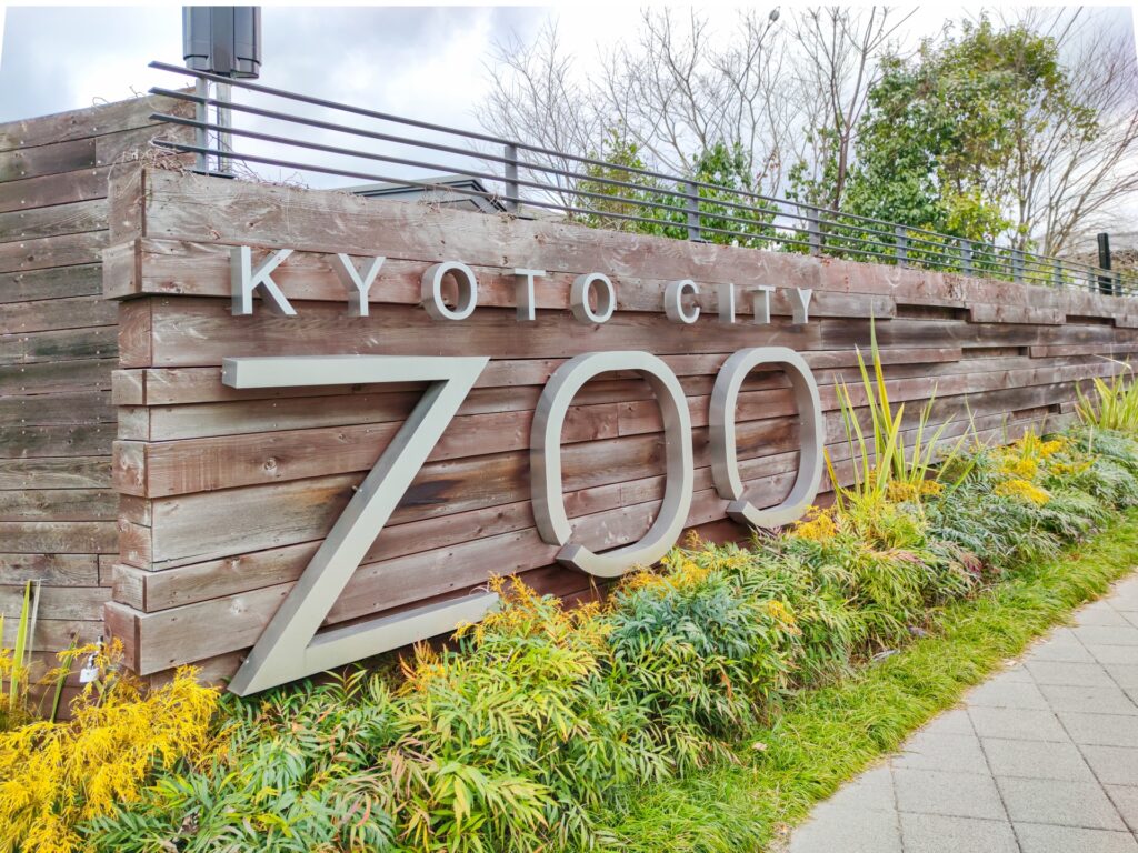 京都市動物園「春の夜間開園」