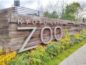 京都市動物園「春の夜間開園」