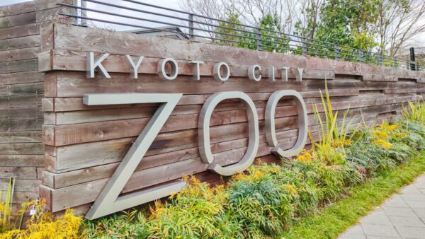 京都市動物園2日間限りの「春の夜間開園」2026年3月28日(土)~3月29日(日)