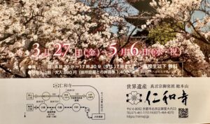 仁和寺御室花まつり