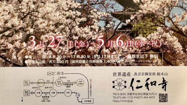仁和寺御室花まつり(2026/3/27〜5/6開催)