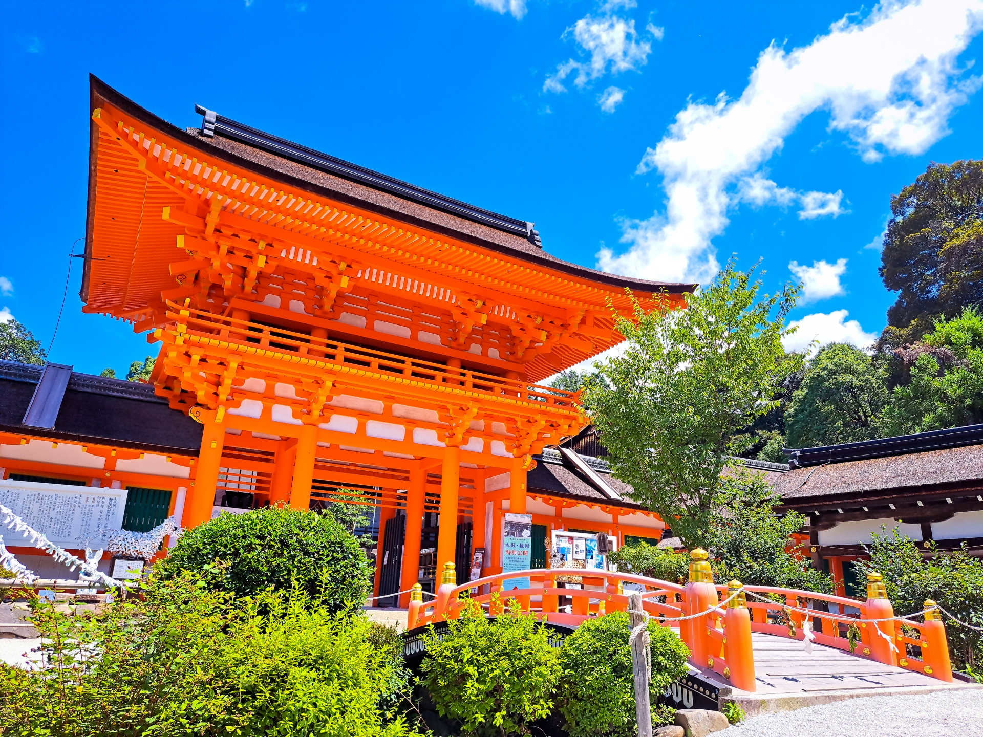 【京都駅発 五山送り火鑑賞バスツアー】平安神宮＋上賀茂神社＋点火前の五山案内＋嵐山＋大文字鑑賞