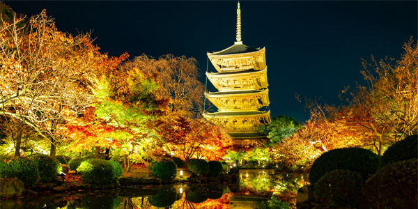 夜の京都を満喫ナイトプラン