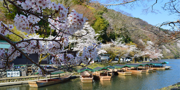 屋形船・貸切・観光タクシー