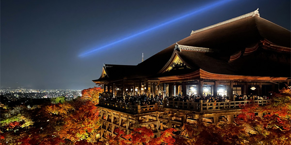 紅葉・夜間拝観