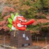 【鞍馬の火祭鑑賞ツアー】 深夜のフィナーレまで鑑賞できる夜食付きプラン