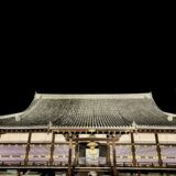 【京都 仁和寺ライトアップ】仁和寺 青もみじ雲海ライトアップ 拝観券