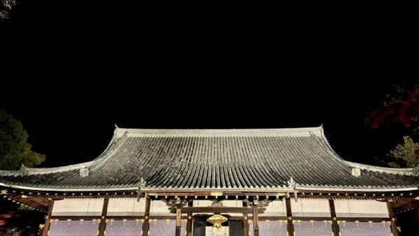 ★【京都 仁和寺ライトアップ】仁和寺 青もみじ雲海ライトアップ 拝観券(2026/6/28まで)