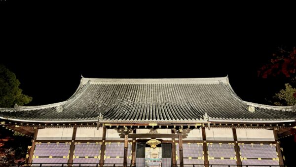 【京都 仁和寺ライトアップ】仁和寺 青もみじ雲海ライトアップ 拝観券（2026/6/28まで）