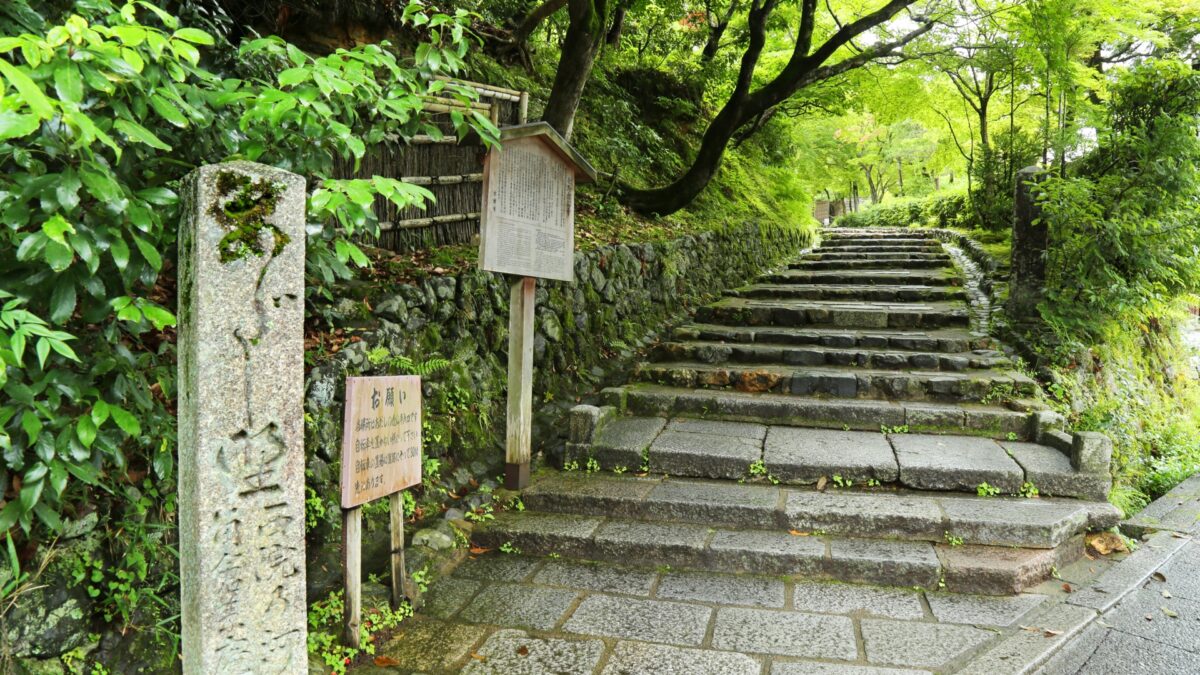 【京都 愛宕古道街道灯しバスツアー】約8千体の石仏・石塔を照らす「あだし野念仏寺千灯供養」