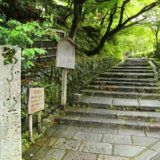 【京都 愛宕古道街道灯しバスツアー】約8千体の石仏・石塔を照らす「あだし野念仏寺千灯供養」