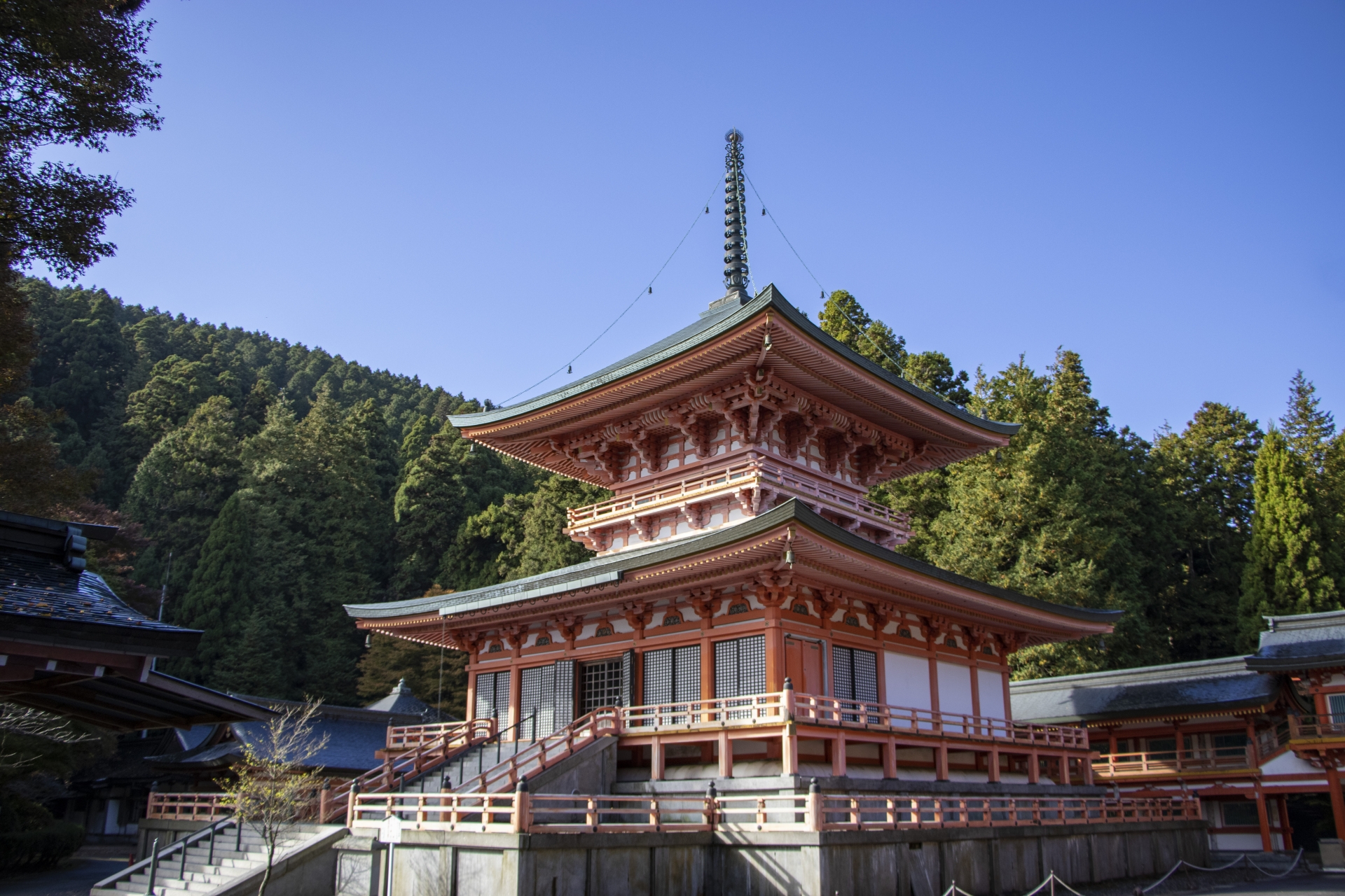 【首都圏発/京都宿泊ツアー】京都迎賓館貸切ガイドツアーと夏の風物詩「宇治川鵜飼」「川床料理」を愉しむ