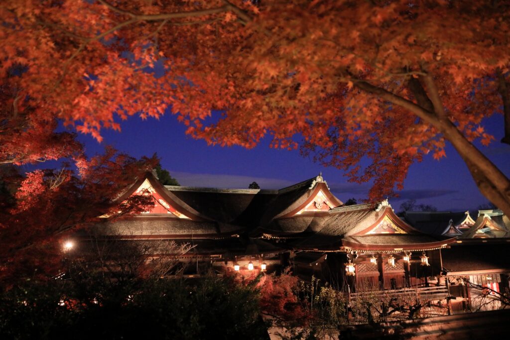 【京都 夜のバスツアー】夜の夏の旅 北野天満宮 御手洗川足つけ燈明神事と国宝御本殿石の間通り抜け神事