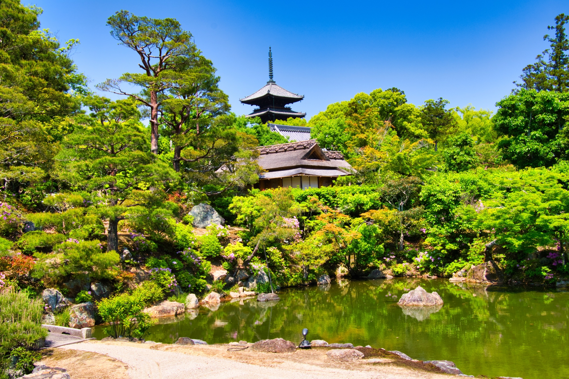 【京都 京の夏の旅】仁和寺御所庭園&梵字展特別拝観<