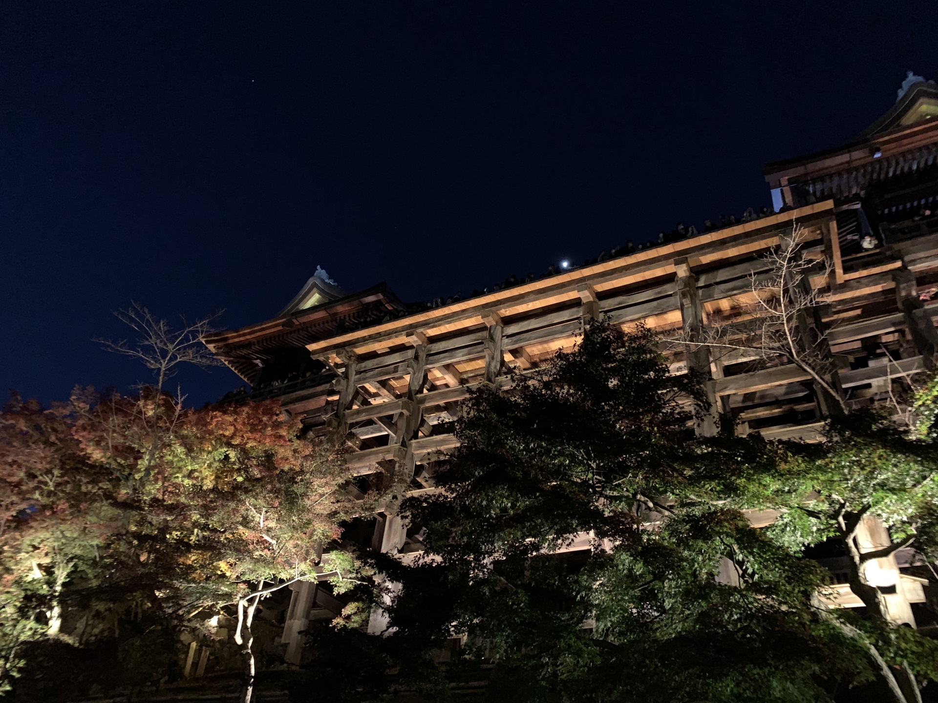 【京都 ライトアップバスツアー】清水寺千日詣と高台寺の夜間拝観<2026/8/14・15>