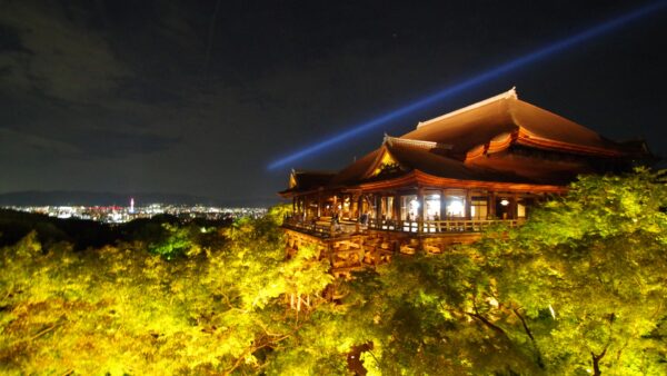 ★【京都 ライトアップバスツアー】清水寺千日詣と高台寺の夜間拝観＜2026/8/14・15＞（京都駅発／夕食付き）