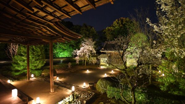 ★【京都 夜のバスツアー】中秋の名月 御寺泉涌寺別院「お月見の会」バスツアー 特別拝観やライトアップされた庭園も＜2026/9/25・26＞（夕食付／京都駅発）