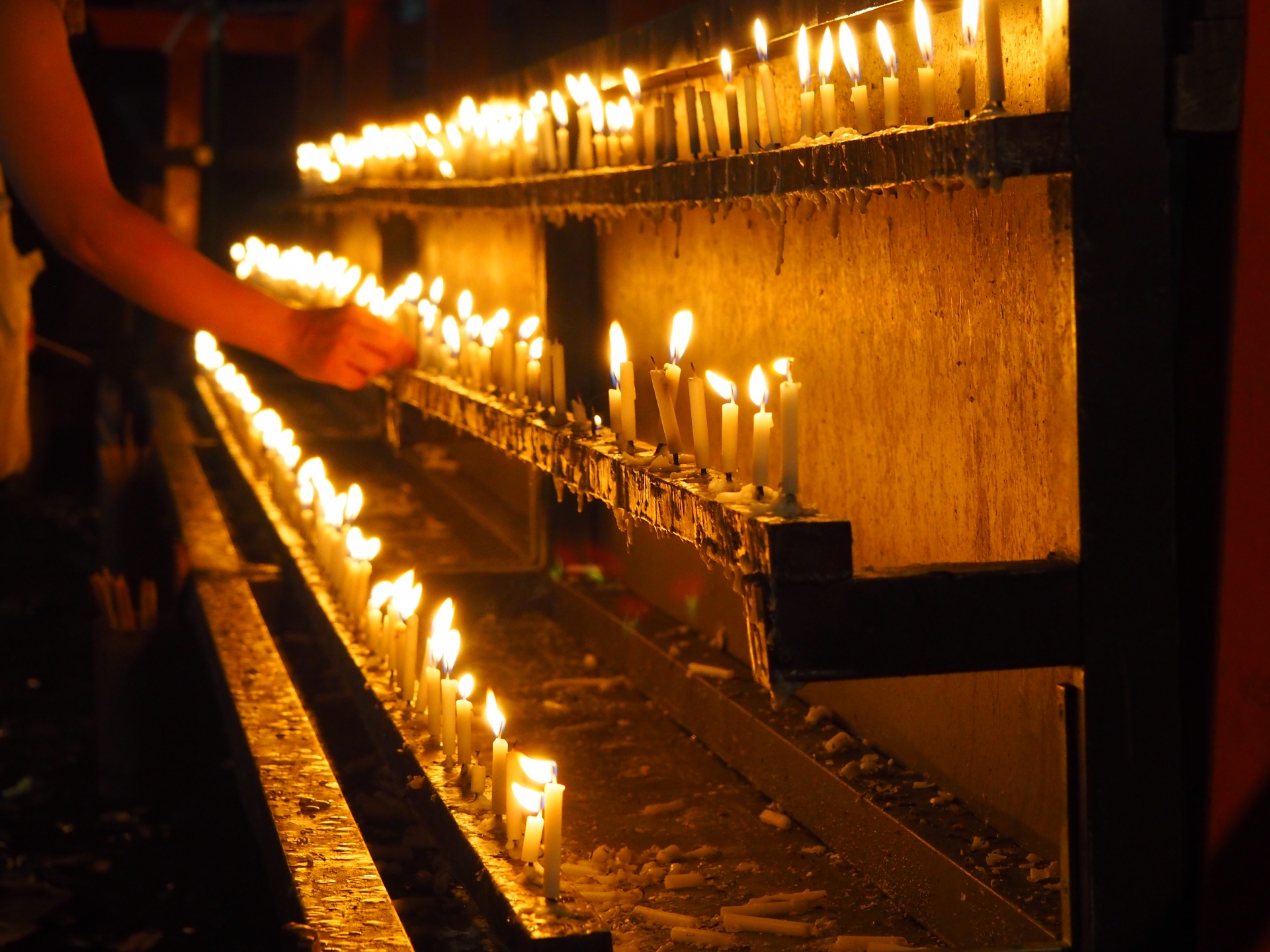 【京都 夜のバスツアー】夜の夏の旅 下鴨神社「御手洗祭」+仁和寺 国名勝指定の庭園ライトアップ