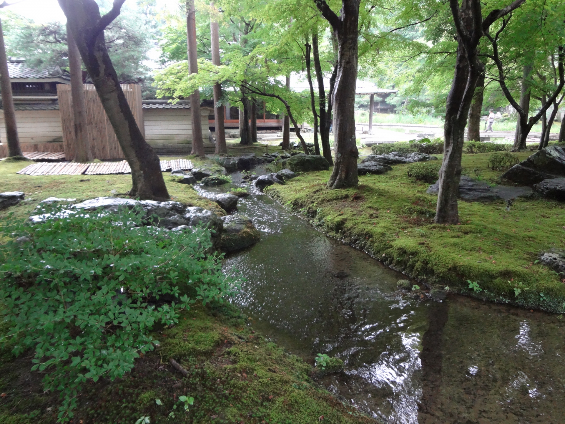 【京都 多言語バスツアー】舞妓はんの舞踊と京料理付きバスツアー 舞妓はんとの記念撮影