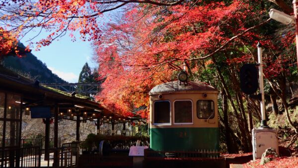 ★【首都圏発・京都観光2日間】「京の奥座敷高雄・貴船・鞍馬と2つの紅葉列車｜アルモントホテル京都に宿泊