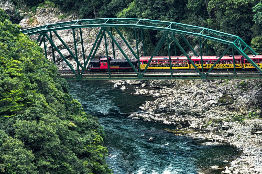 【京都 バスツアー】トロッコ列車と竹仙の冷やしどうふ