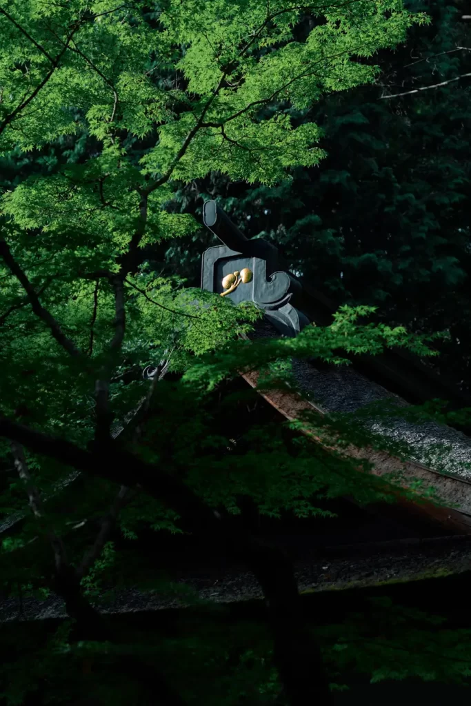 上賀茂神社 奉納演奏『音の逢ふひ ーAOIー』